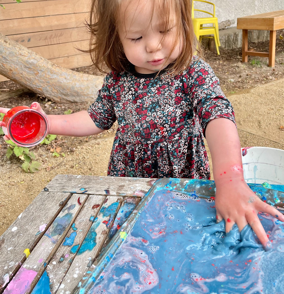 Sensory Exploration