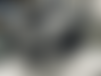 Rebuilt BMW 533i Engine for sale