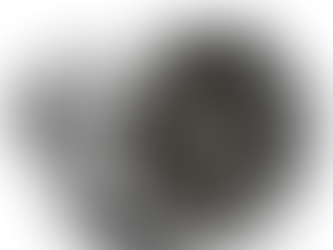 Rebuilt BMW 335i GT Transmission for sale