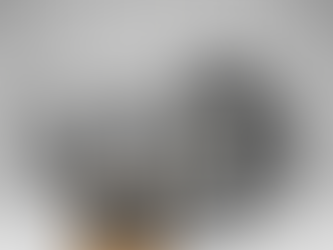 Rebuilt BMW 135i Transmission for sale