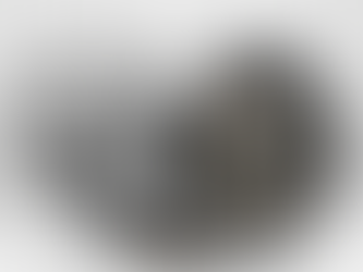 Rebuilt BMW 323i Transmission for sale