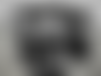 Rebuilt BMW 545i Engine for sale