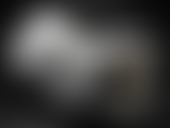 Rebuilt BMW M1 Transmission for sale