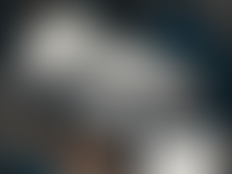 Rebuilt BMW 325i Transmission for sale