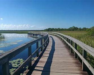 "Best Locations for Portrait Photography in Fort Pierce"