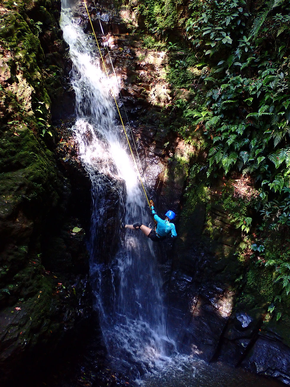 Treetop Climbing and Waterfall Canyoning