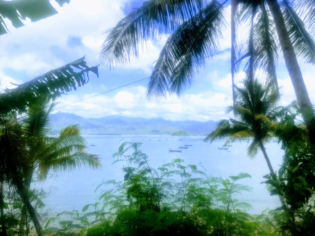 2 months in Indonesia