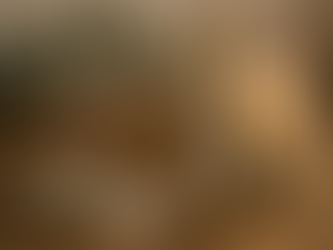 Préparer notre foyer pour l’hiver : purification, encens, pierres et intentions