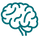 brain (3).png