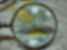 Nautika1780 Bootsführerschein Kategorie B Mali Losinj 3.jpeg
