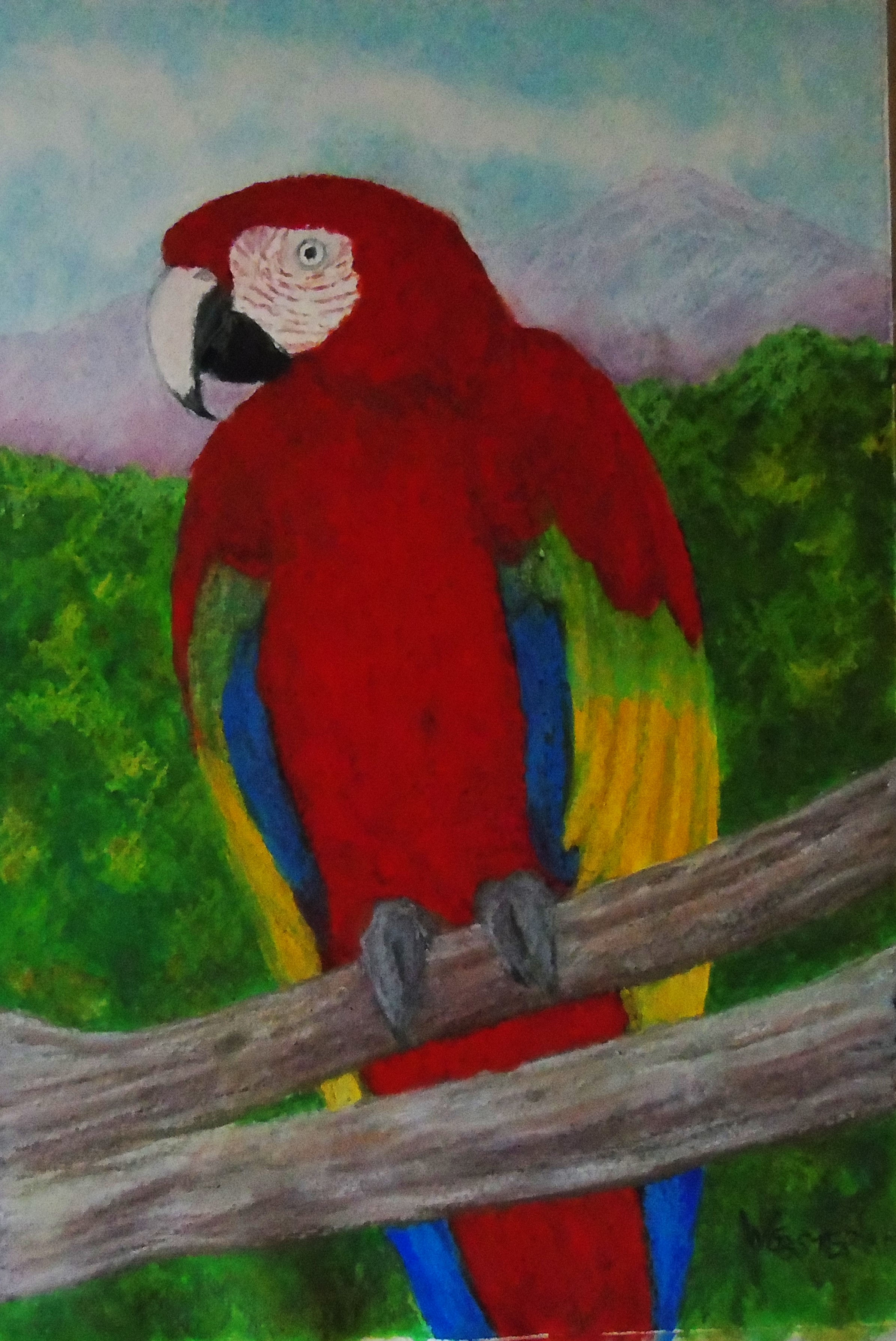 Red Parrot Perched on Double Branch