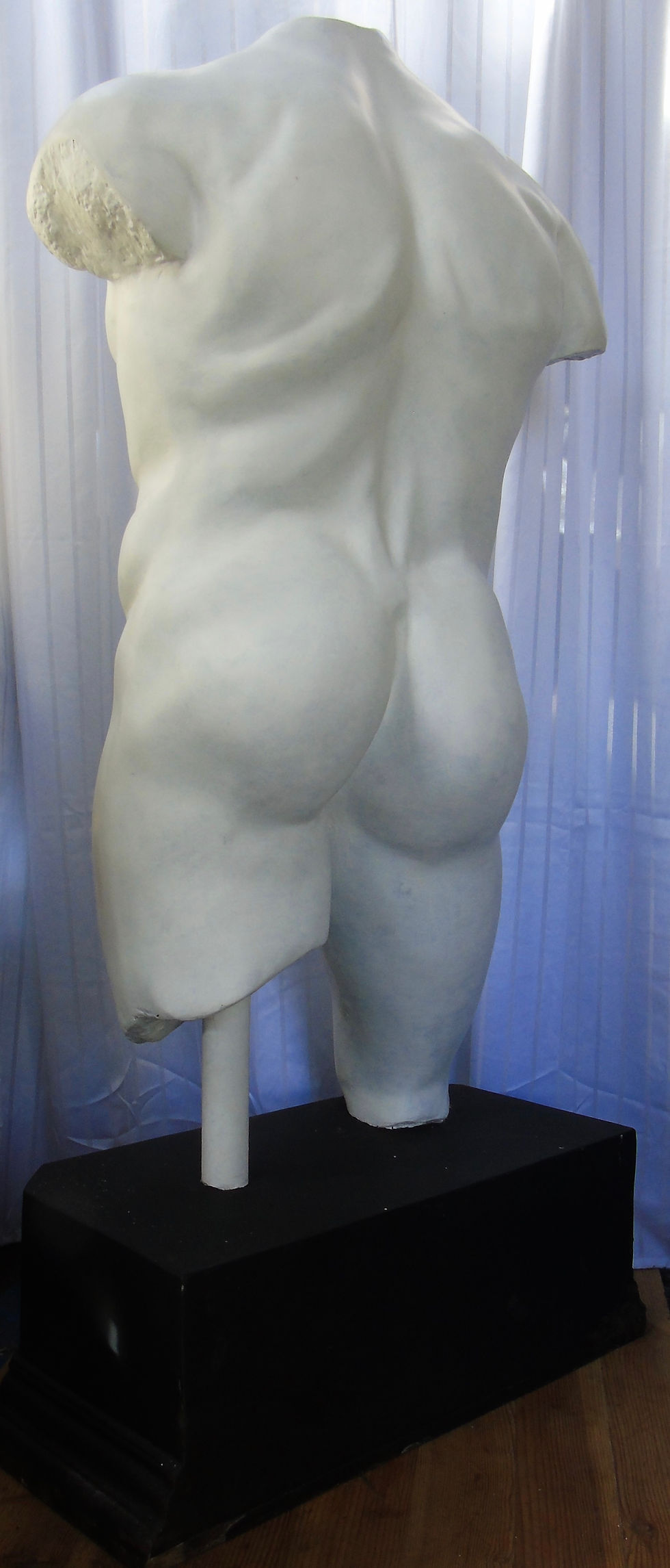 Thumbnail: Male Torso