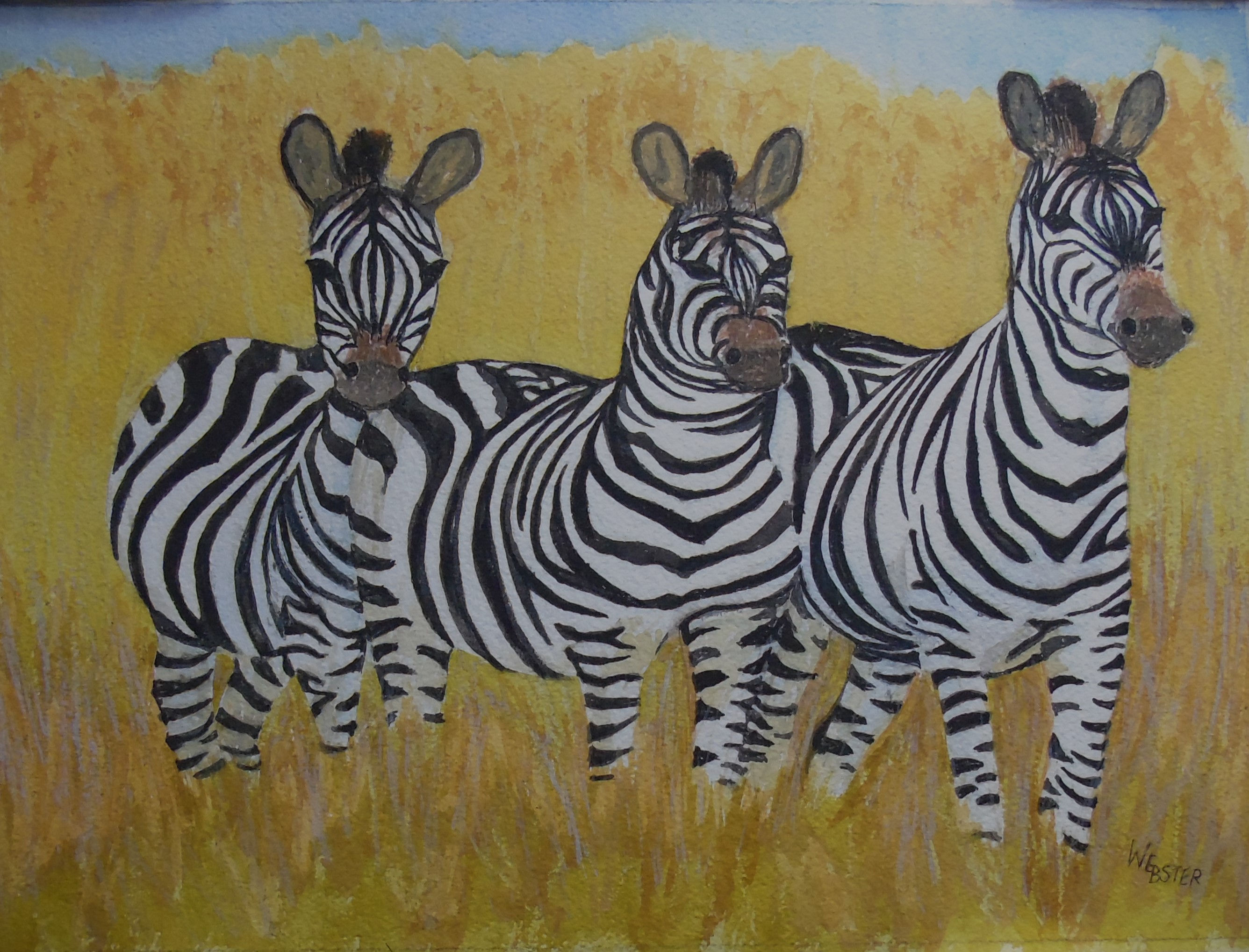 Three Zebra