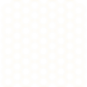 honeycomb1.png