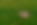 United Lawn Specialist | Full Lawn Service | Lawn Overseed