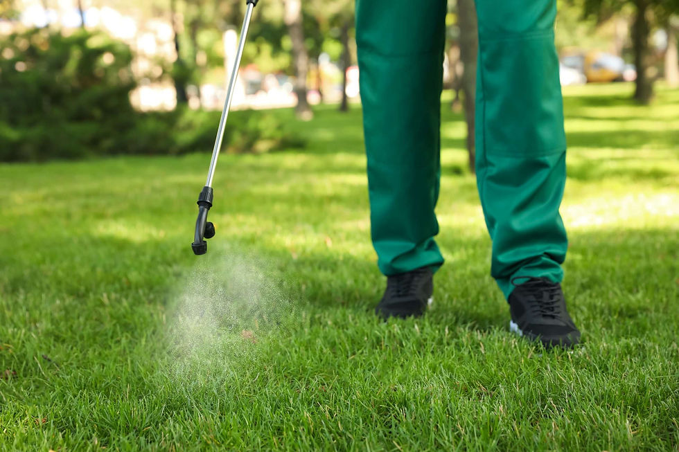 United Lawn Specialist | Full Lawn Service | Pest Control Program