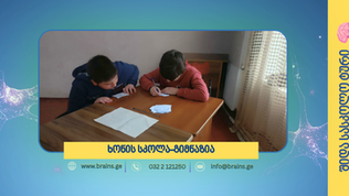 ხონი „დეტექტივების ობიექტივში"