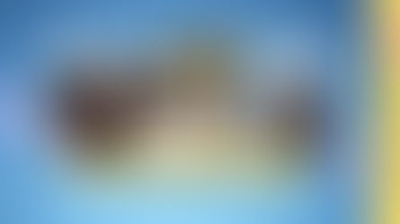 "ცოდნის ელემენტი"