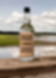 Swamp Vodka photographed at local park, marsh in background