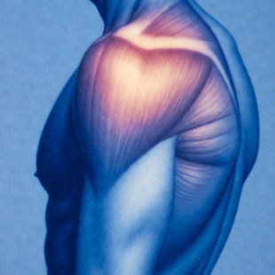 The Hidden Costs of Inflammation: Metabolic, Hormonal, Neurologic, and Gut Effects in Athletes