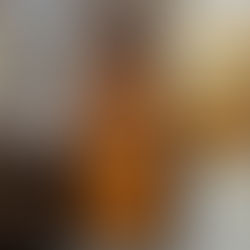 point pelee canoe shelf