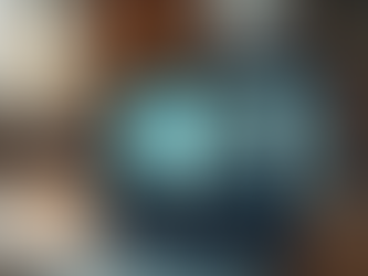 חידושים בהדרכת מנהלים מרחוק