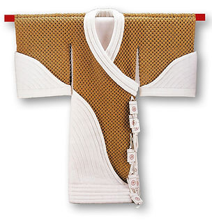 Priest's Winter Robe.jpg