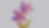 Untitled-1Artboard-2.png