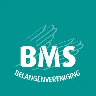 BMS.webp