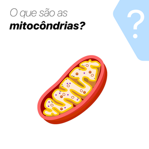 O que são as mitocôndrias?