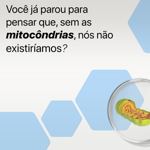 Você já parou para pensar que, sem as mitocôndrias, nós não existiríamos?