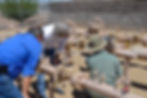 Pipeline Pic 2