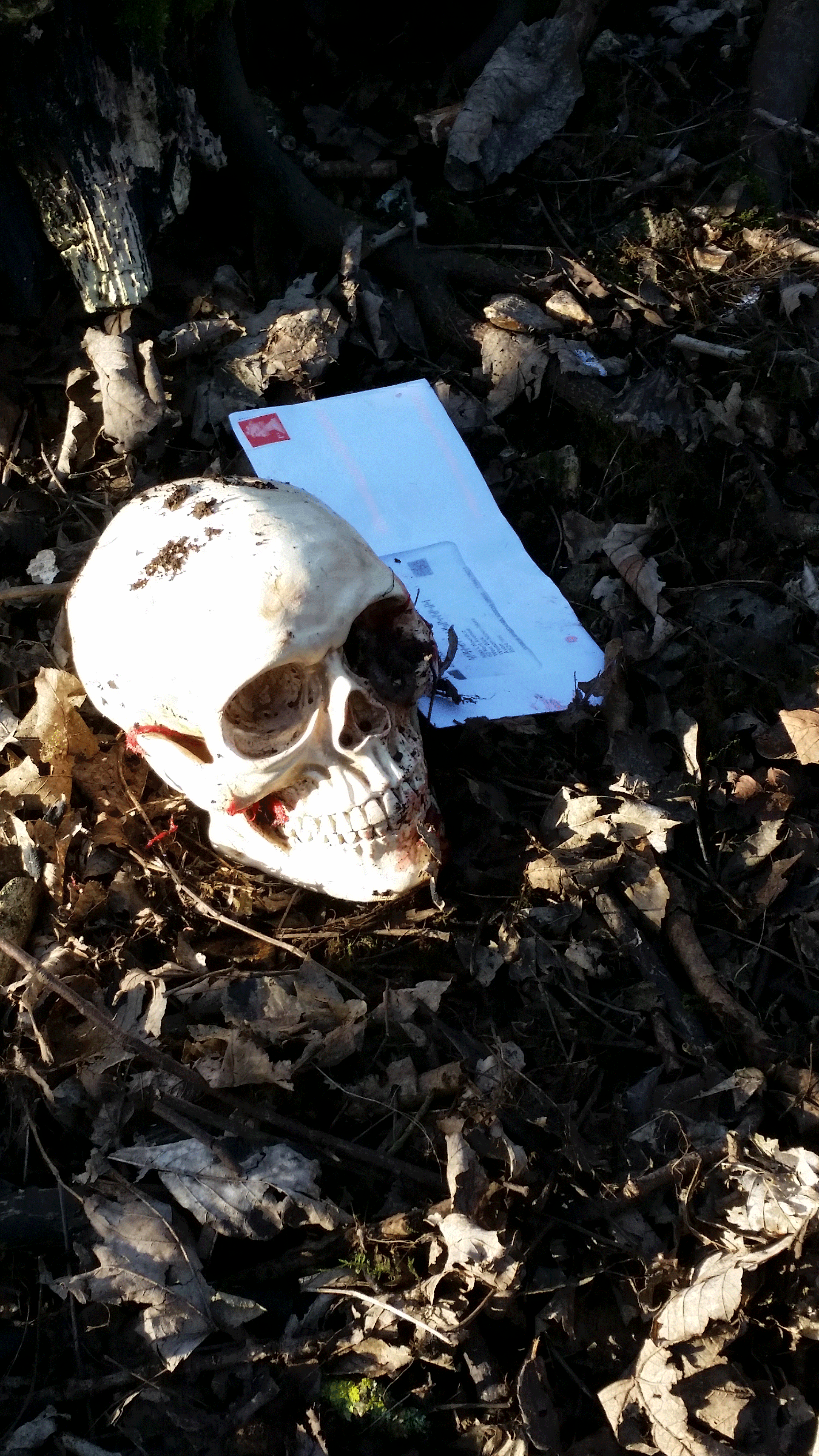 Skull-with-Post