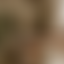 De 6 best gelezen artikelen op De Interieur Club website