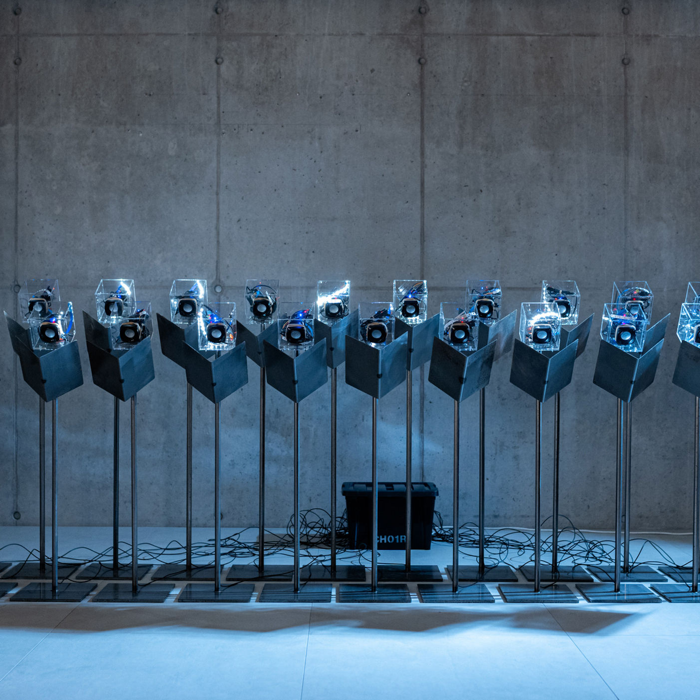 10 tips voor Dutch Design Week 2024 van Wisse Trooster