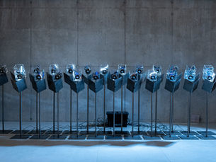 10 tips voor Dutch Design Week 2024 van Wisse Trooster