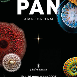 PAN Amsterdam van 19 - 26 november, wat is er te zien?
