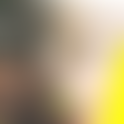 De Interieur Padel Cup 2025: het padeltoernooi voor de interieurbranche