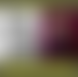 De Interieur Business Club 2024 is vol! Meet members interieurarchitect Michiel Wijnen en interieurontwerper Elvire Rombouts