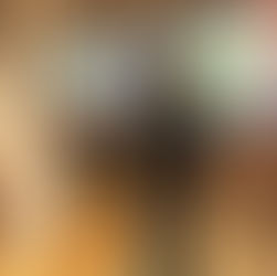 Michelle Jager, Lotte Faassen, Timothy van Oorschot en Studio Piet Boon winnen De Interieur Club Awards 2025