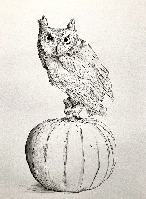 ink illustration of spooky, Halloween owl sitting on pumpkin