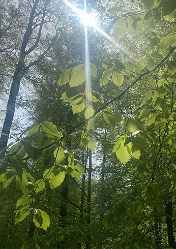 Nouvelle phase de vie