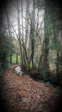 randonnée, sentier de randonnée au départ du gîte