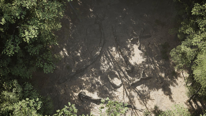 Forrest-ritual-birds-eye-pan0355.jpeg