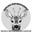 Writer: Marches Deer Management