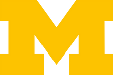m logo.png