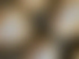 Glutenfreie Franzbrötchen