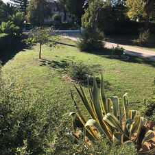 garden and driveway