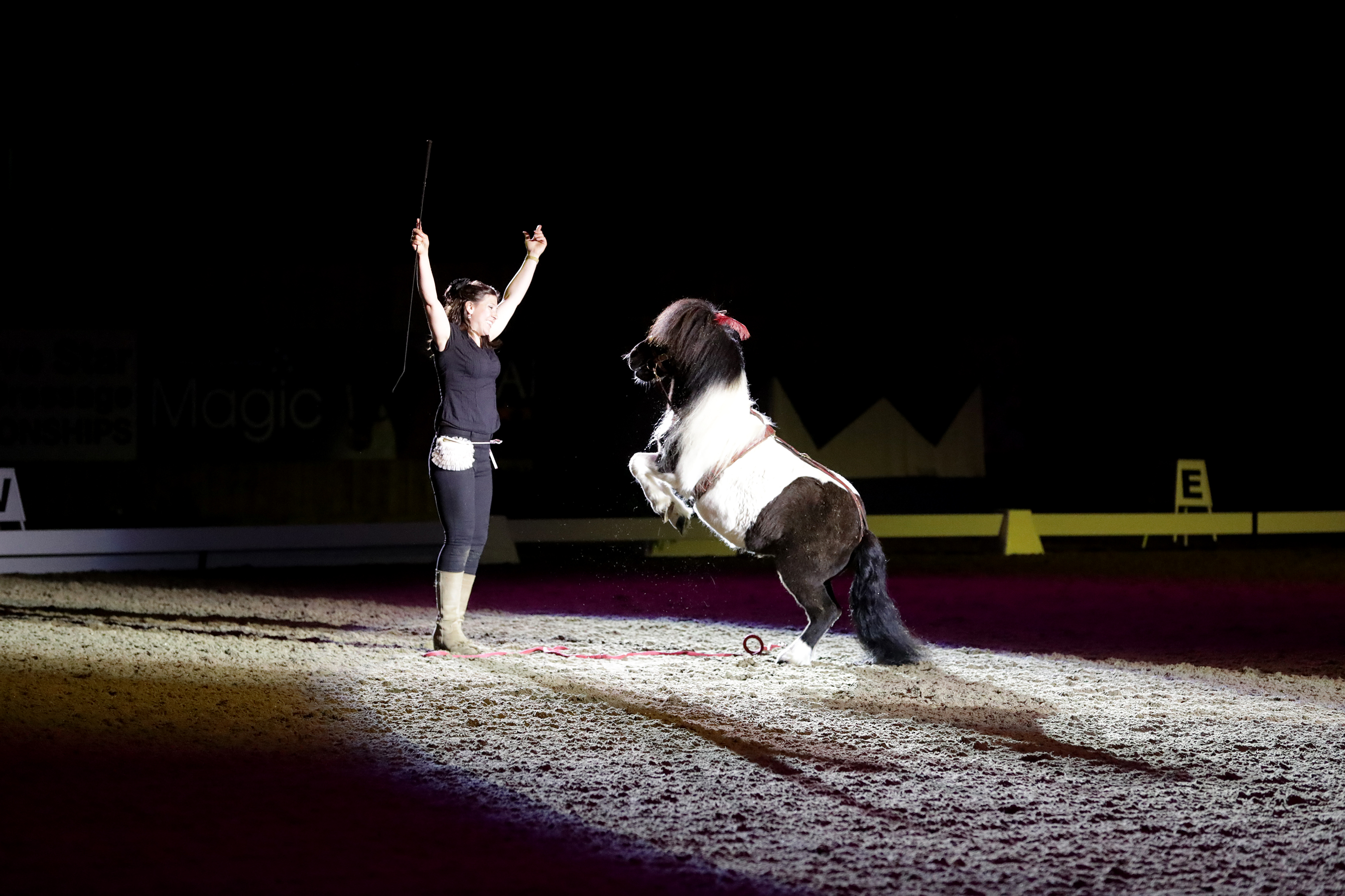 Naff Winter Dressage Champs