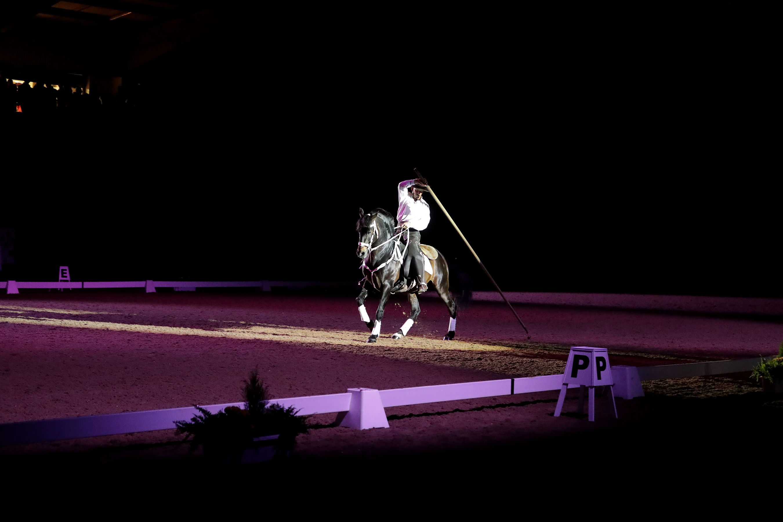 Naff Winter Dressage Champs